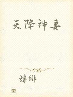 天降神妻封面