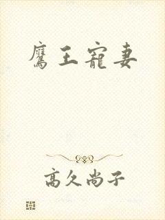 鹰王宠妻