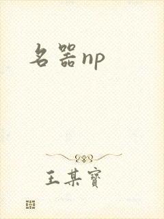 名器np封面