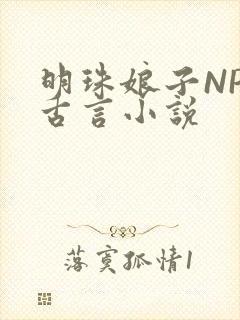 明珠娘子NPC古言小说封面