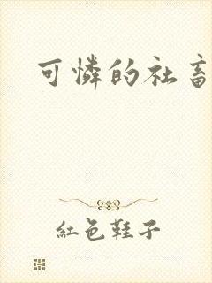 可怜的社畜小说