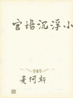 官场沉浮小说封面
