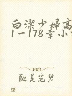 白洁少妇高义第1一178章小说封面