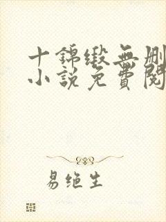 十锦缎无删原著小说免费阅读