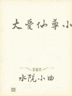 大爱仙尊小说封面