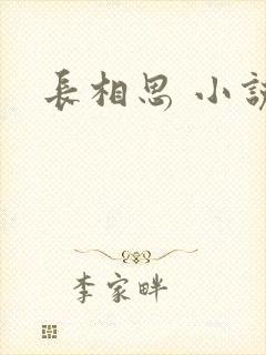 长相思 小说