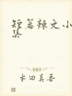 短篇辣文小说合集封面
