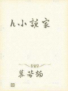h小说家