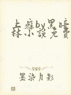 上瘾by黑暗森林小说免费