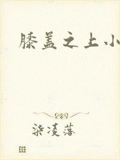 膝盖之上小说
