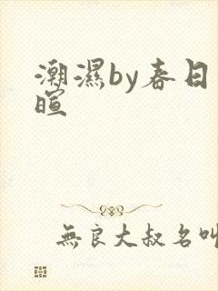 潮湿by春日负暄封面