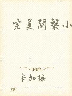 完美关系小说封面