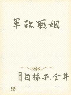 军政联姻封面