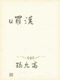 u罗汉封面