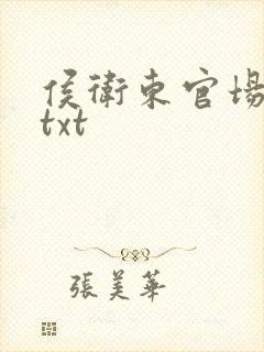 侯卫东官场笔记txt