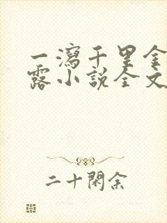 一泻千里金银花露小说全文免费阅读