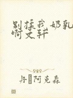 别揉我奶乳嗯～啊文轩封面