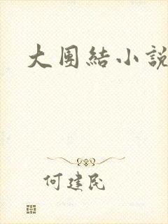 大团结小说全文