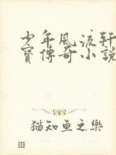 少年风流轩辕大宝传奇小说