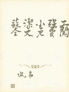 苏洁小强工地情全文免费阅读封面
