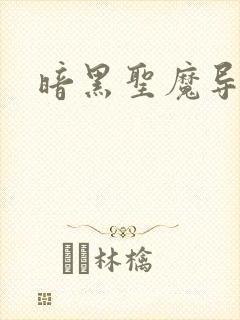 暗黑圣魔导