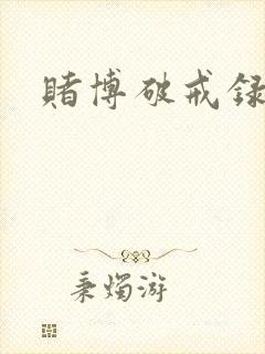 赌博破戒录封面