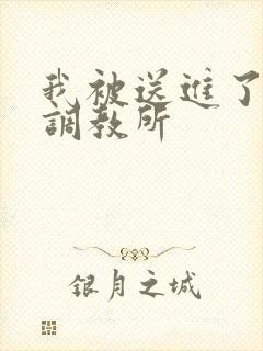 我被送进了私奴调教所
