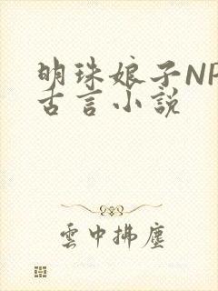 明珠娘子NPC古言小说