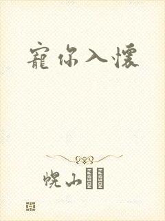 宠你入怀封面