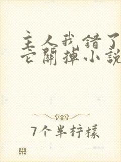 主人我错了请把它关掉小说