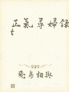 正气寻妇录txt