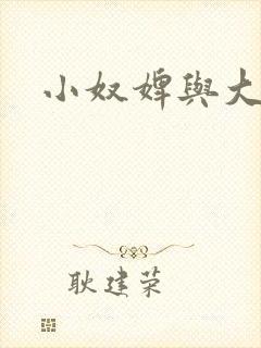 小奴婢与大少爷