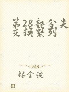 第28部分夫妇交换系列封面