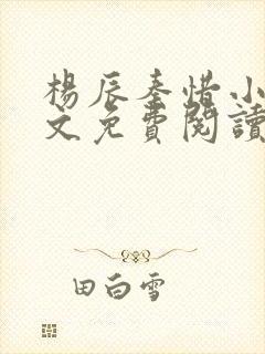 杨辰秦惜小说全文免费阅读完整版