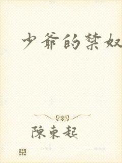 少爷的禁奴