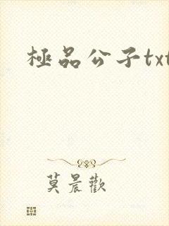 极品公子txt