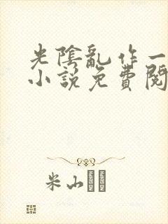 光阴乱作一团的小说免费阅读
