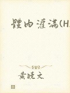 体内灌满(H)封面