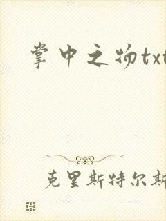 掌中之物txt