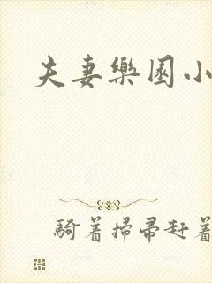 夫妻乐园小说