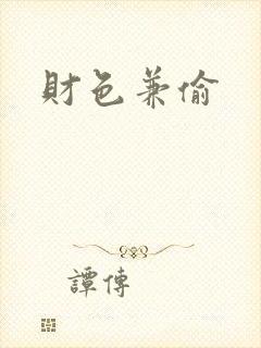 财色兼偷封面