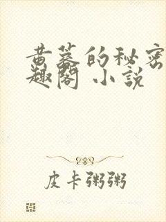 黄蓉的秘密 笔趣阁 小说