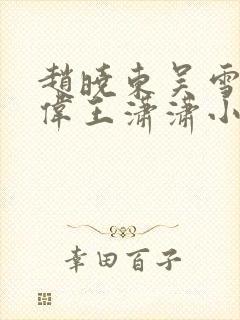 赵晓东吴雪晴郑伟王潇潇小说名字