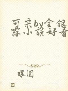 可宋by金银花露小说好看吗