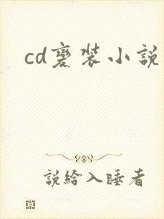 cd变装小说封面