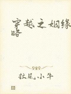 穿越之姻缘劫攻略