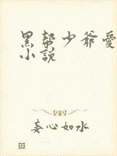 黑帮少爷爱上我小说