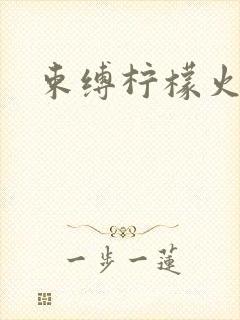 束缚柠檬火焰封面