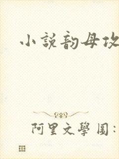 小说韵母攻略