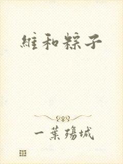 维和粽子